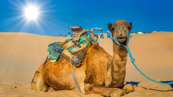 Нова година 2026 в Тунис, със самолет от София - 6 нощувки